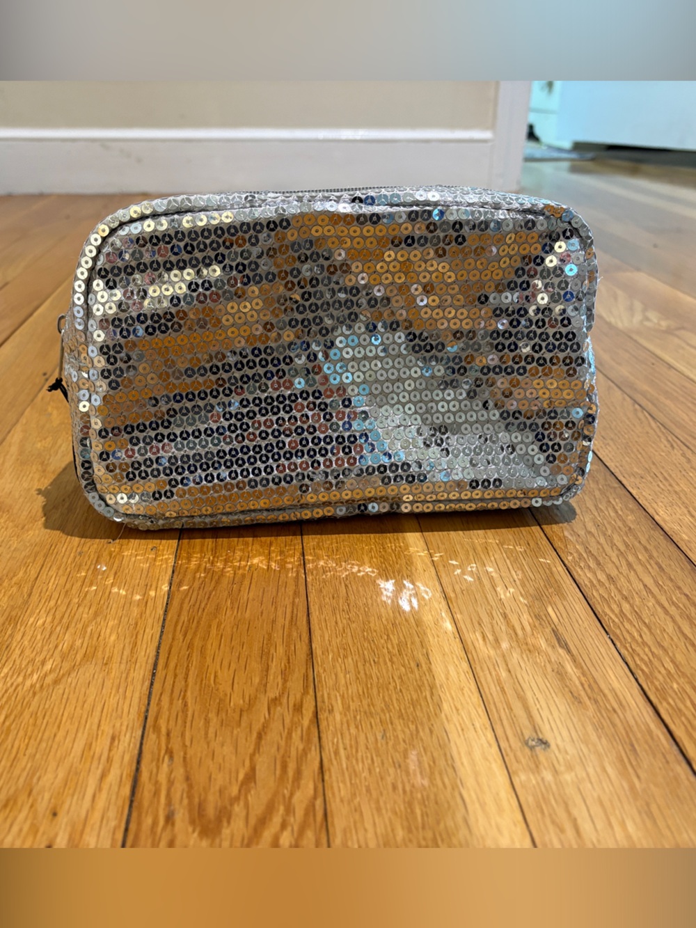 Silver Sequin Cosmetic Pouch